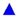 Triangle bleu.gif (328 octets)